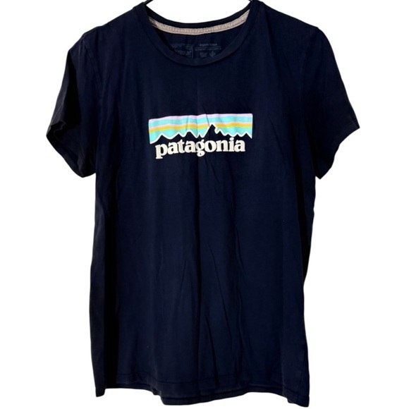 🌹Patagonia Blue Short Sleeve Tee with Graphic Design - Picture 1 of 3